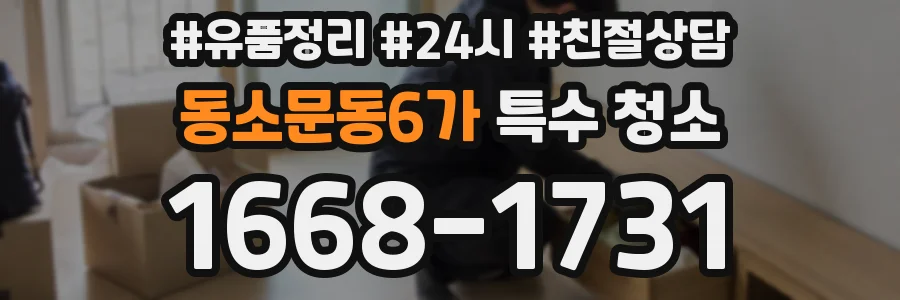 동소문동6가 특수 청소