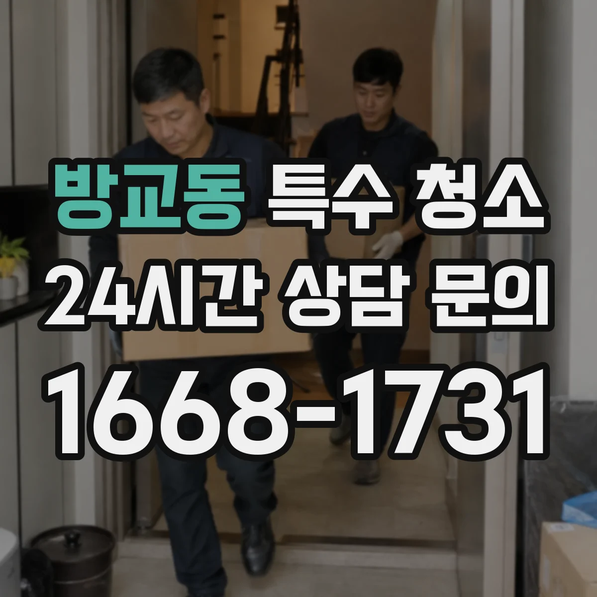 방교동 특수 청소