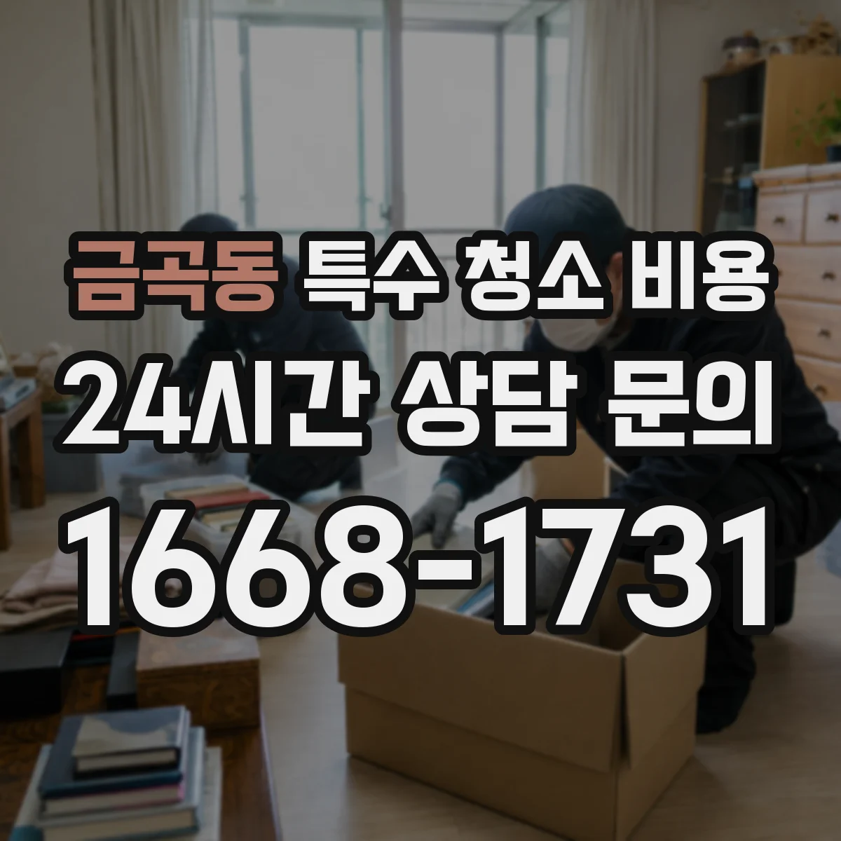 금곡동 특수 청소 비용