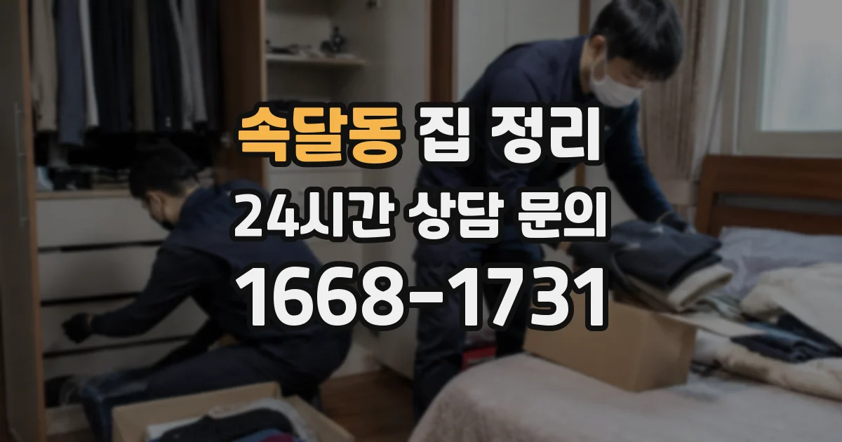 속달동 집 정리