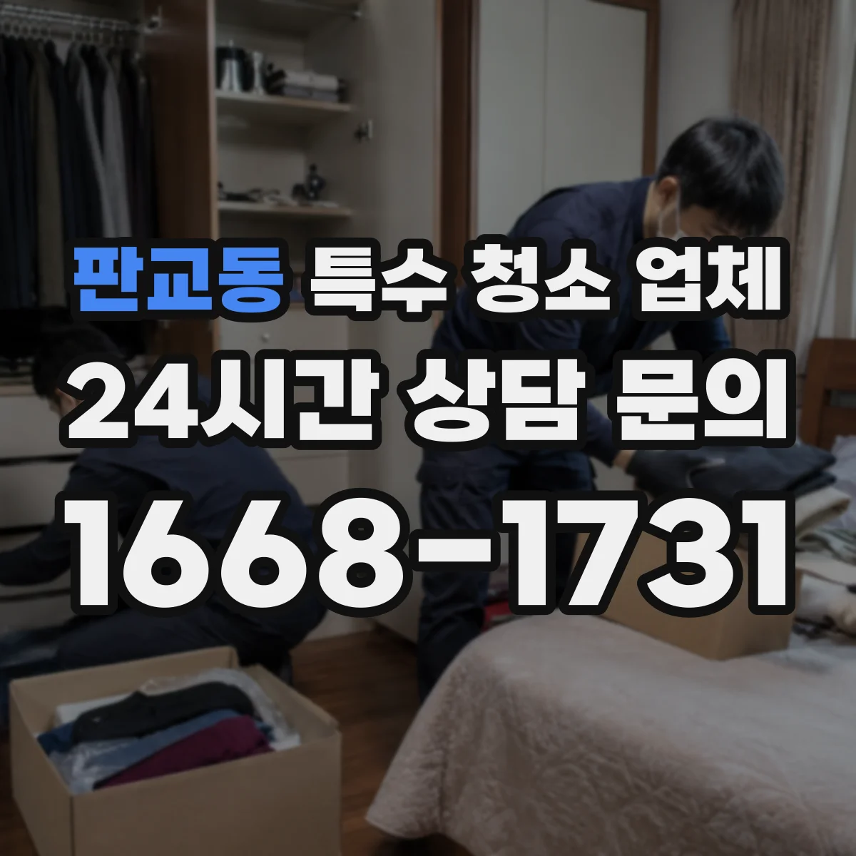 판교동 특수 청소 업체
