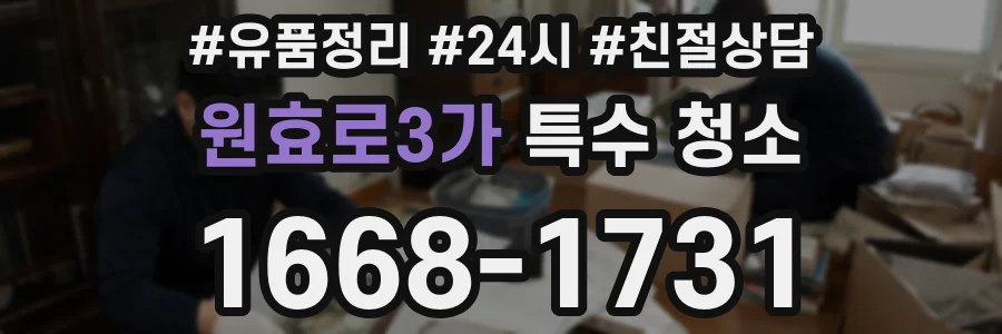 원효로3가 특수 청소