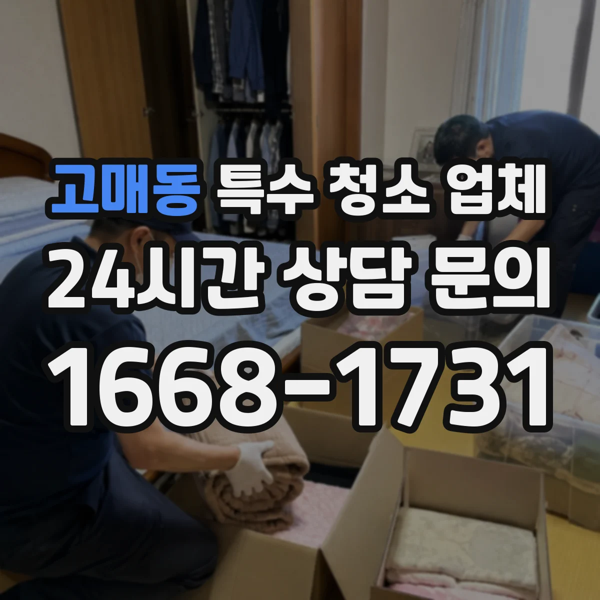 고매동 특수 청소 업체