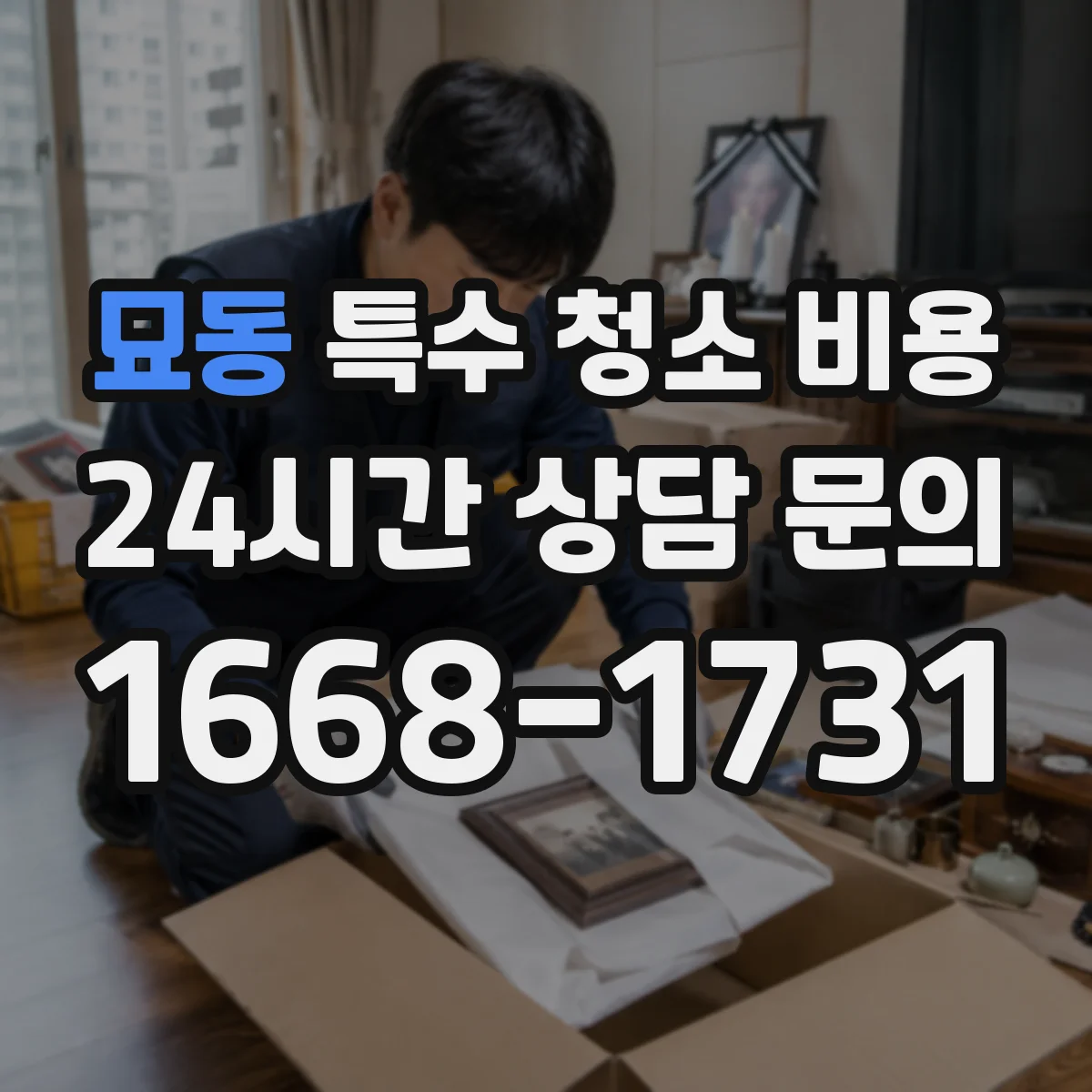 묘동 특수 청소 비용 현장 점검 기준으로 보는 견적 항목