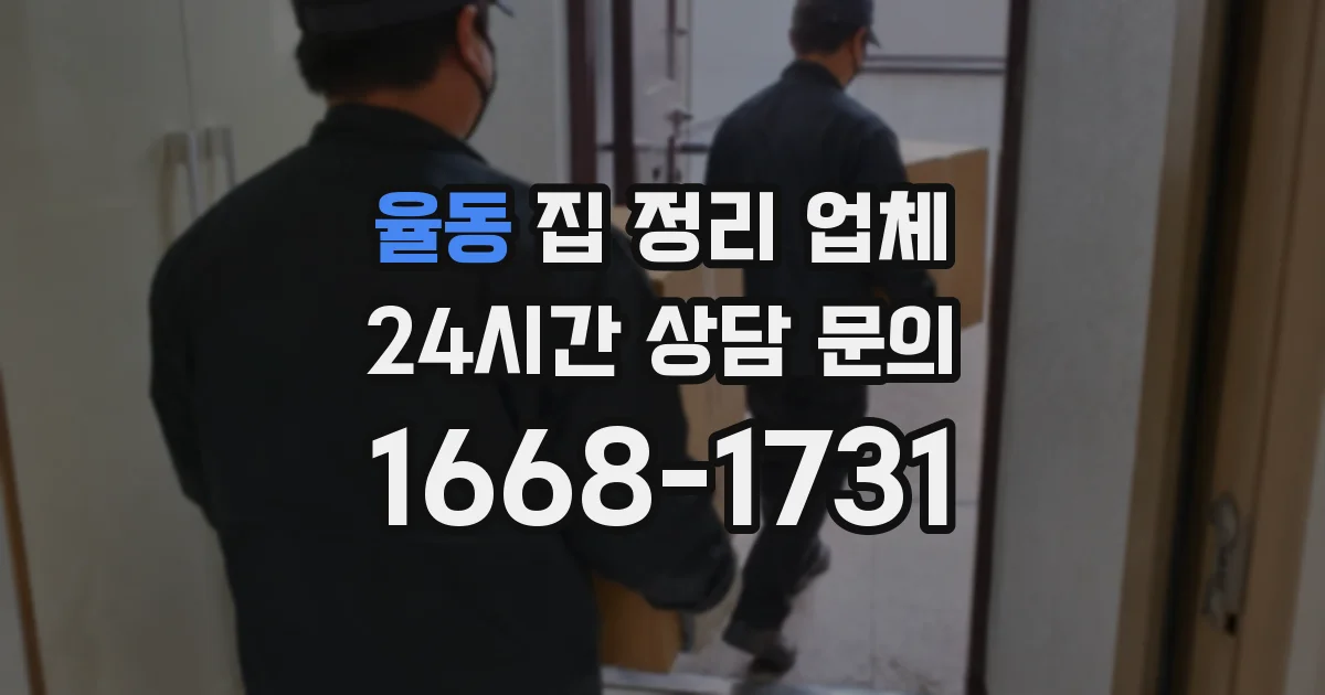 율동 집 정리 업체