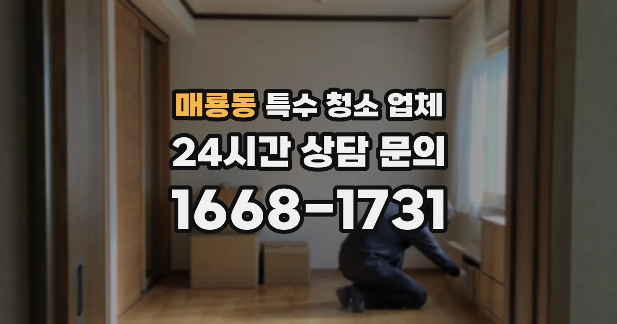 매룡동 특수 청소 업체