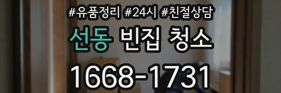 선동 빈집 청소
