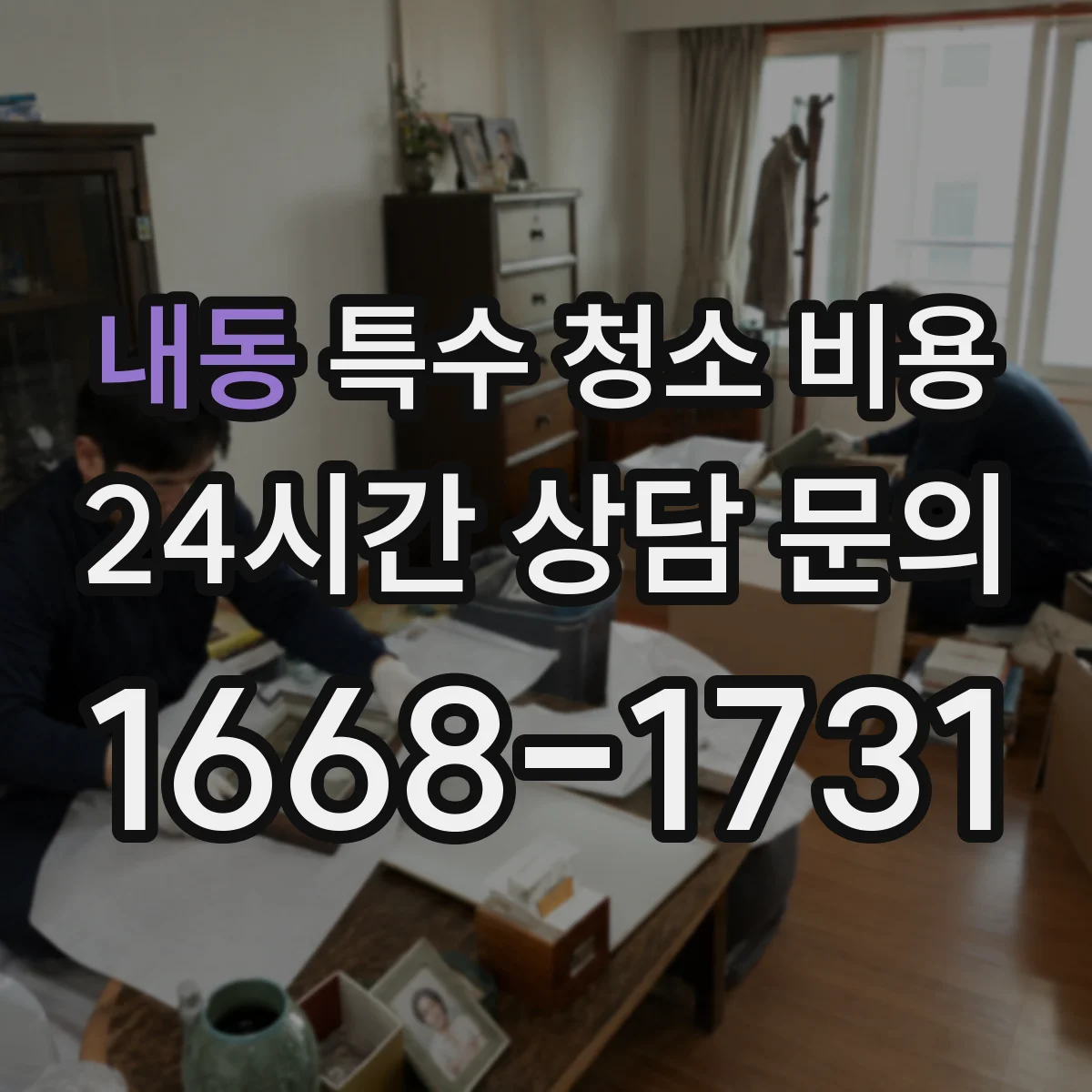내동 특수 청소 비용