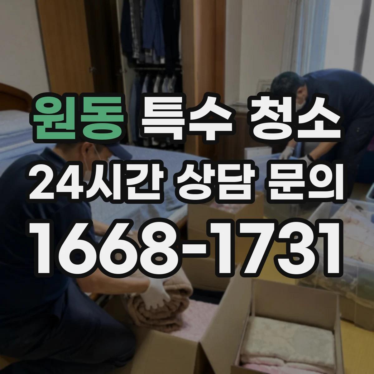 원동 특수 청소