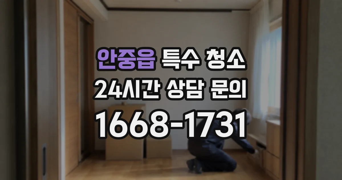 안중읍 특수 청소