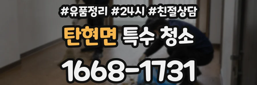 탄현면 특수 청소