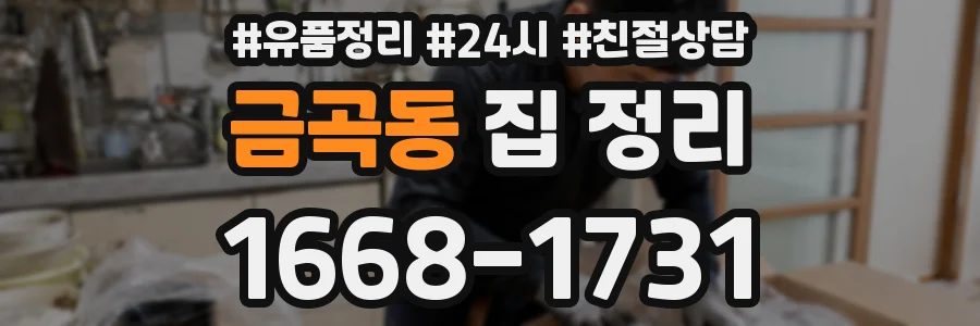 금곡동 집 정리