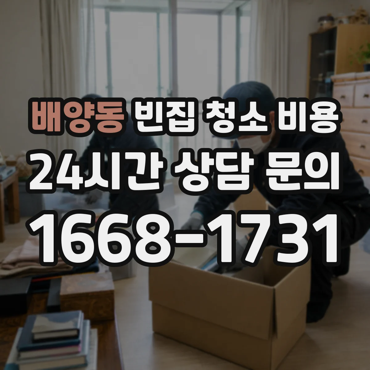 배양동 빈집 청소 비용