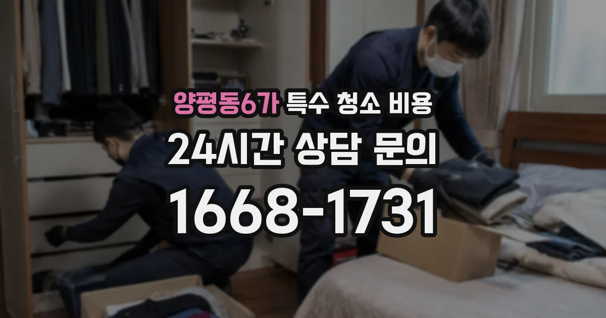 양평동6가 특수 청소 비용