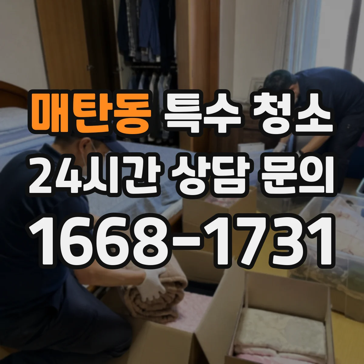 매탄동 특수 청소