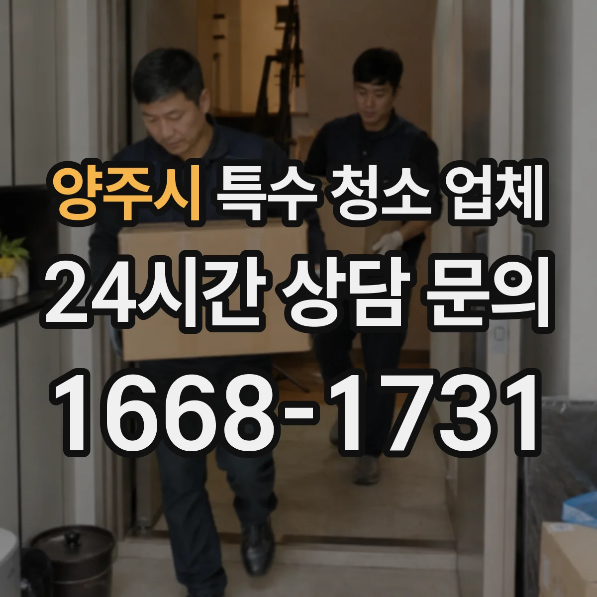 양주시 특수 청소 업체 곰팡이 재발 방지 핵심 과정 안내