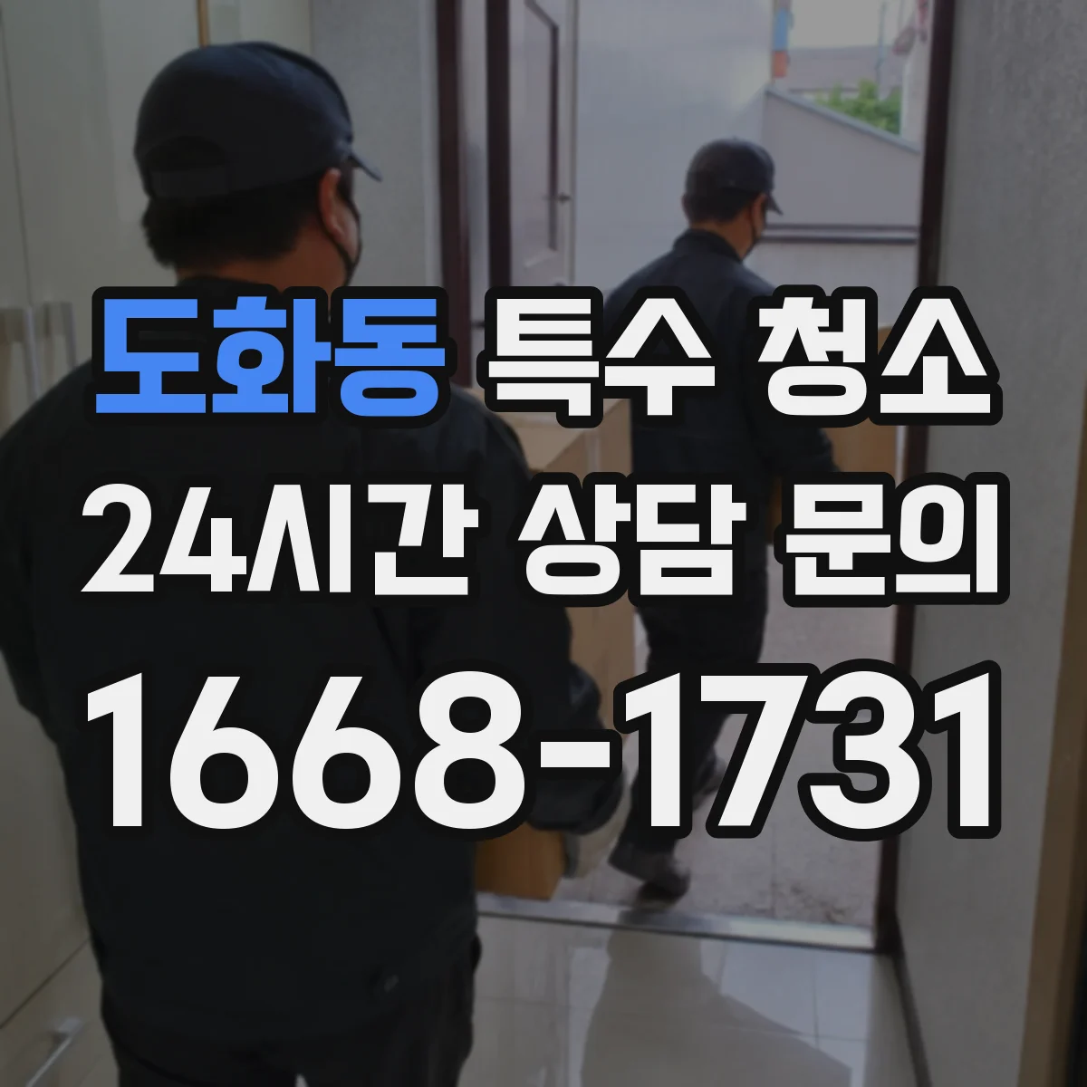 도화동 특수 청소