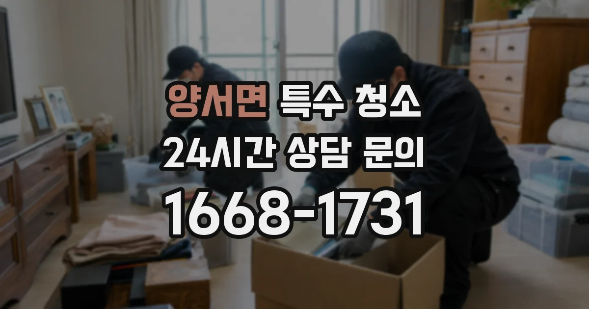 양서면 특수 청소