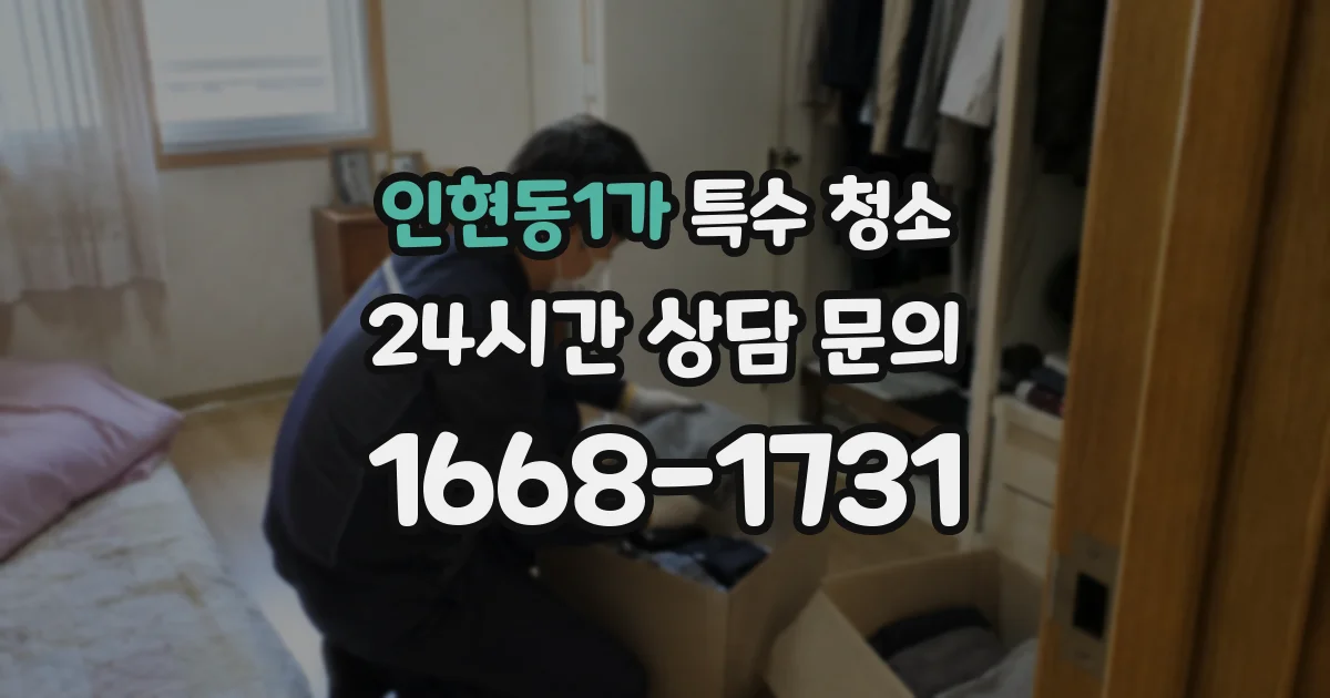 인현동1가 특수 청소