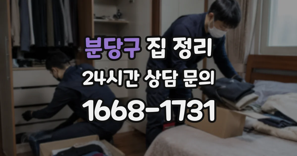 분당구 집 정리