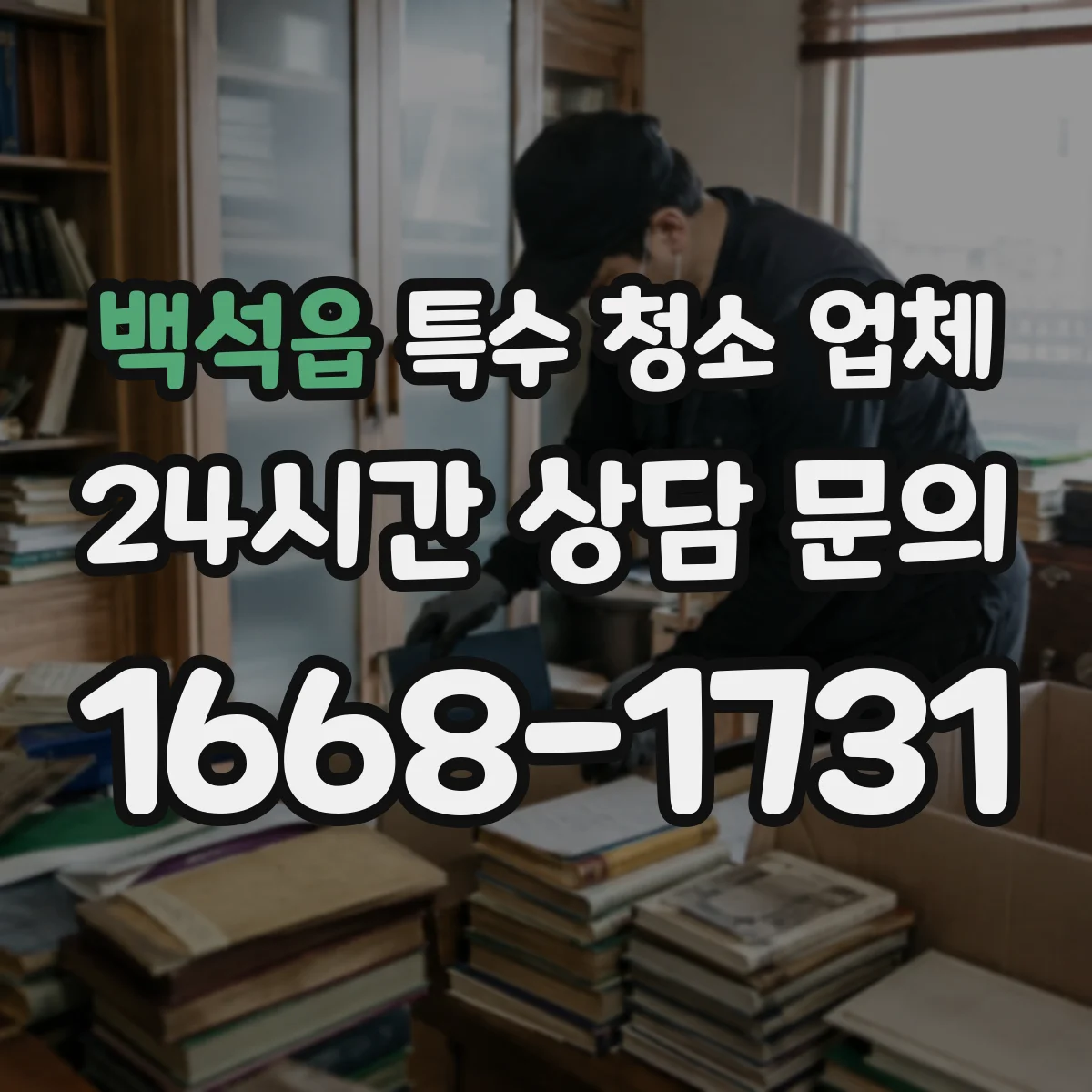 백석읍 특수 청소 업체