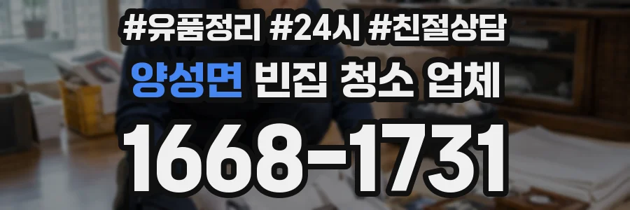양성면 빈집 청소 업체