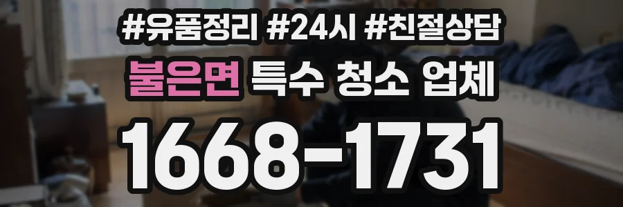 불은면 특수 청소 업체