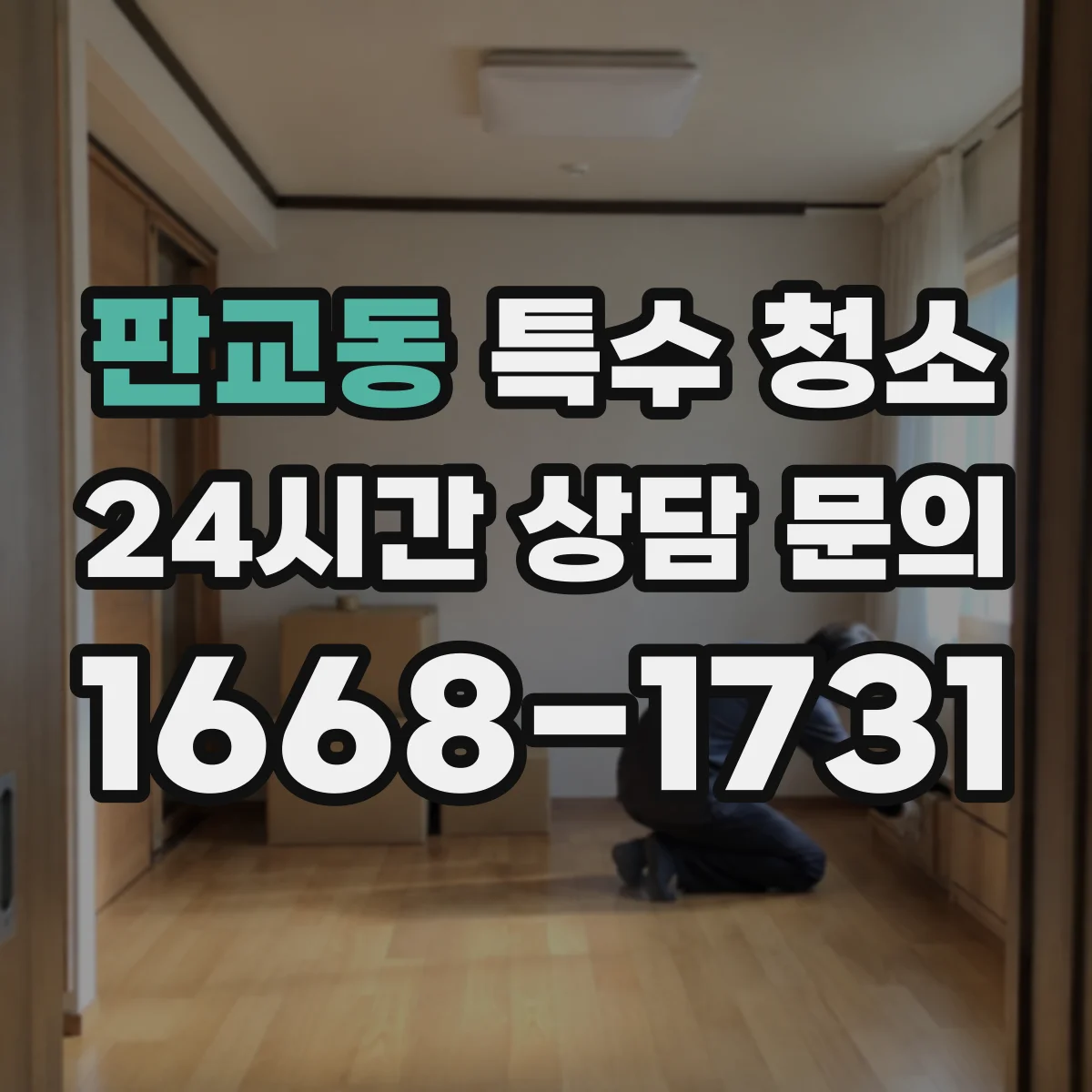 판교동 특수 청소