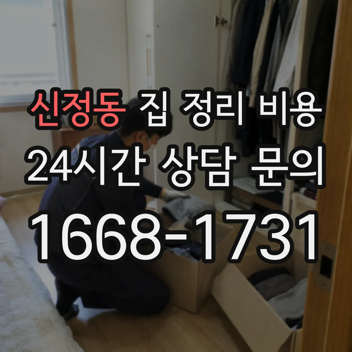 신정동 집 정리 비용