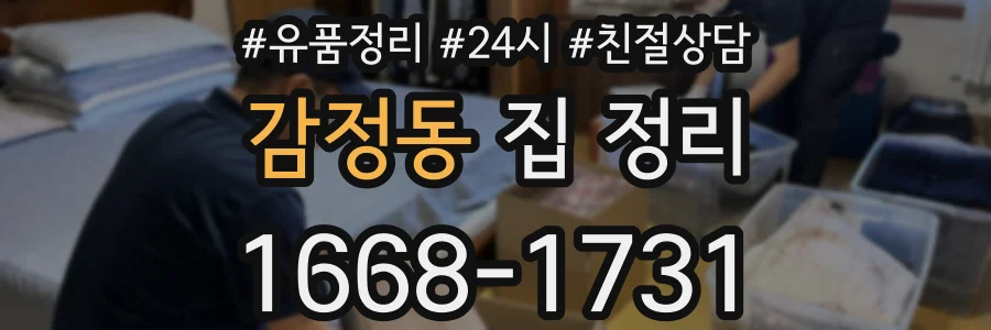감정동 집 정리