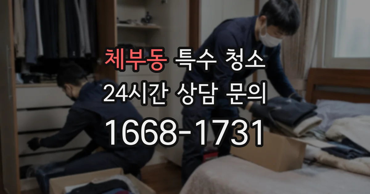 체부동 특수 청소