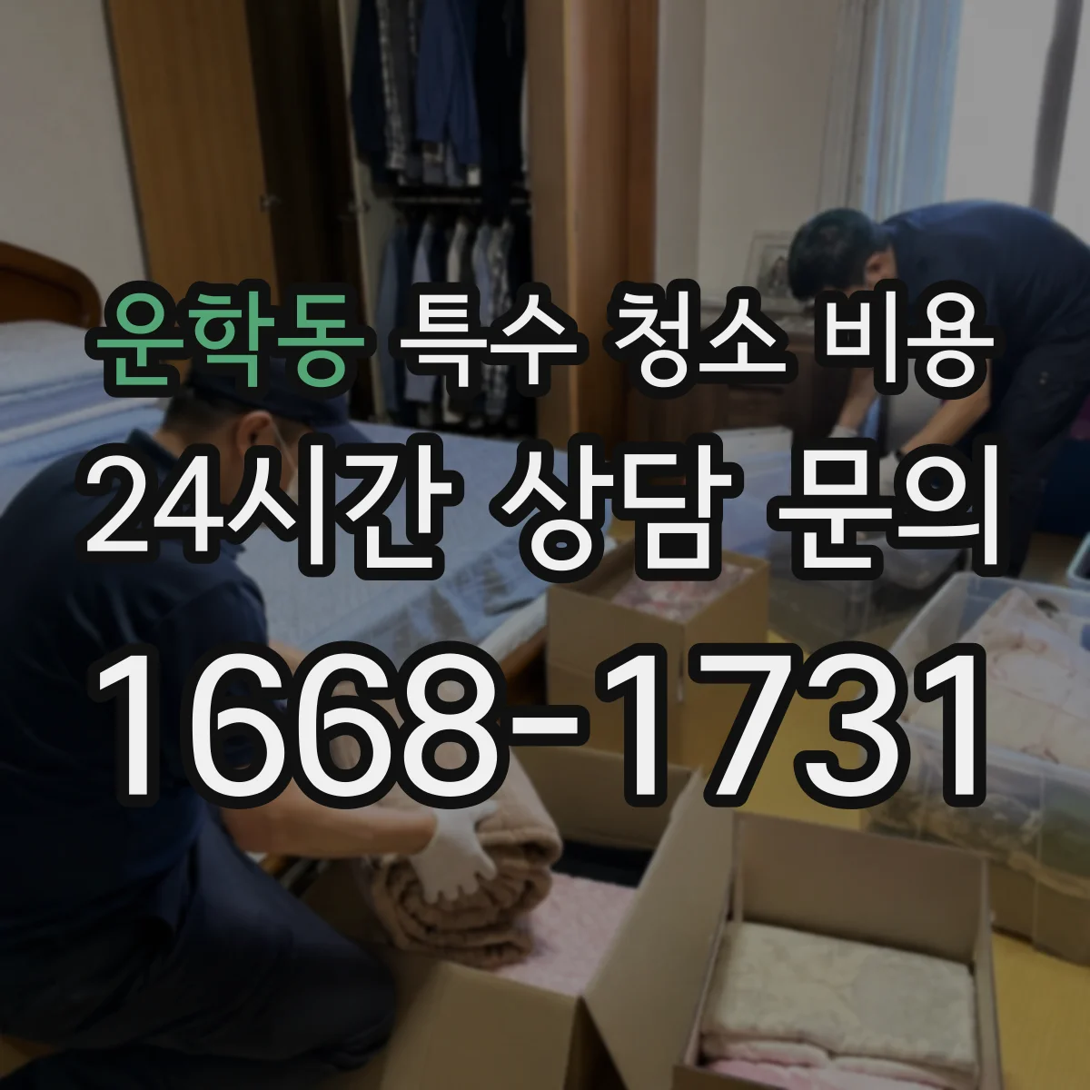 운학동 특수 청소 비용