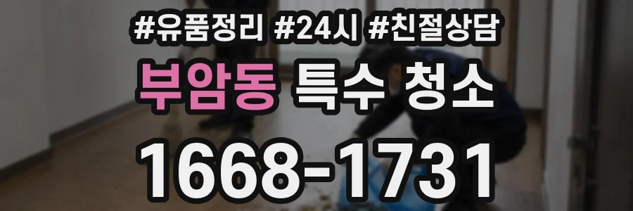 부암동 특수 청소