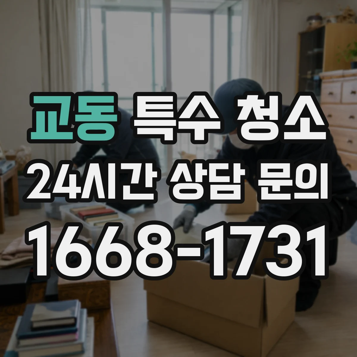 교동 특수 청소