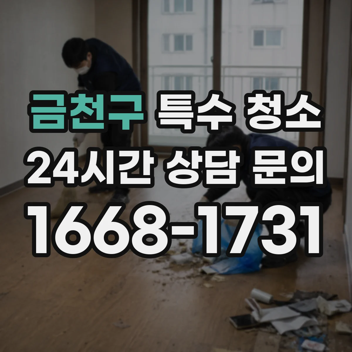 금천구 특수 청소