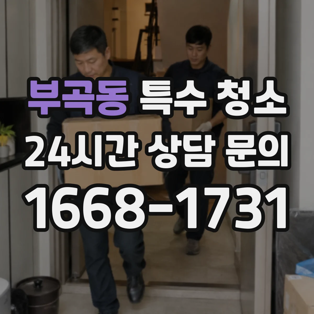 부곡동 특수 청소