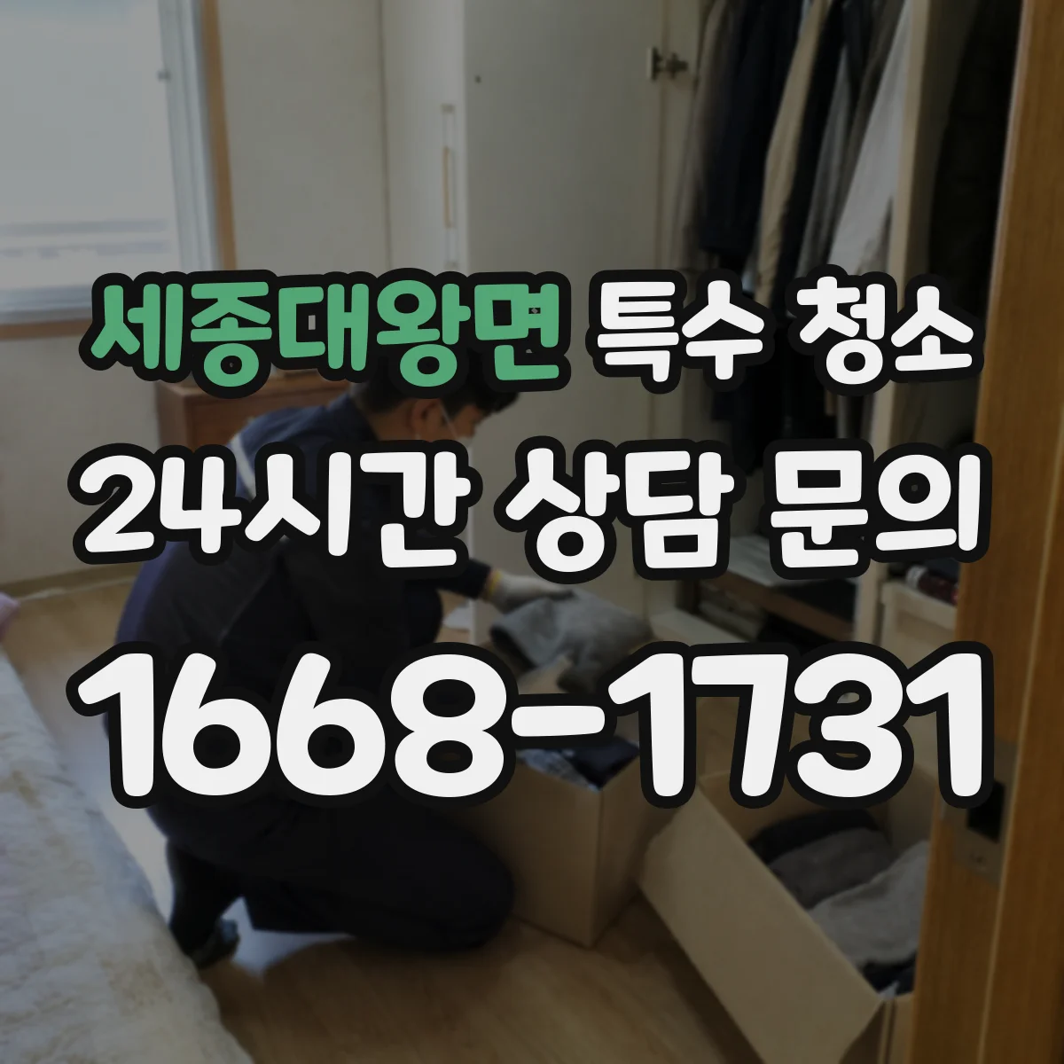 세종대왕면 특수 청소