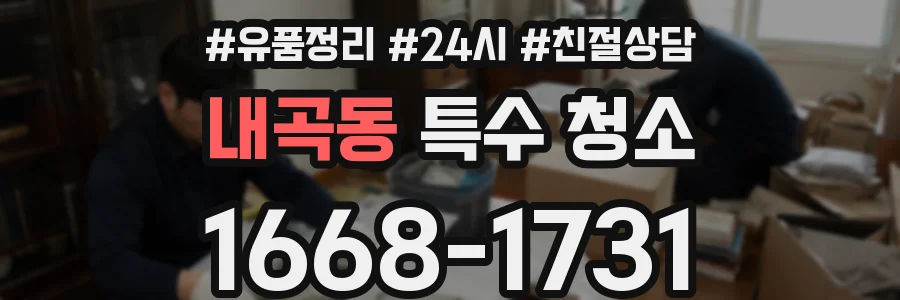 내곡동 특수 청소