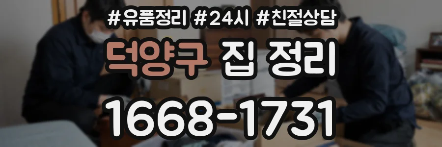 덕양구 집 정리