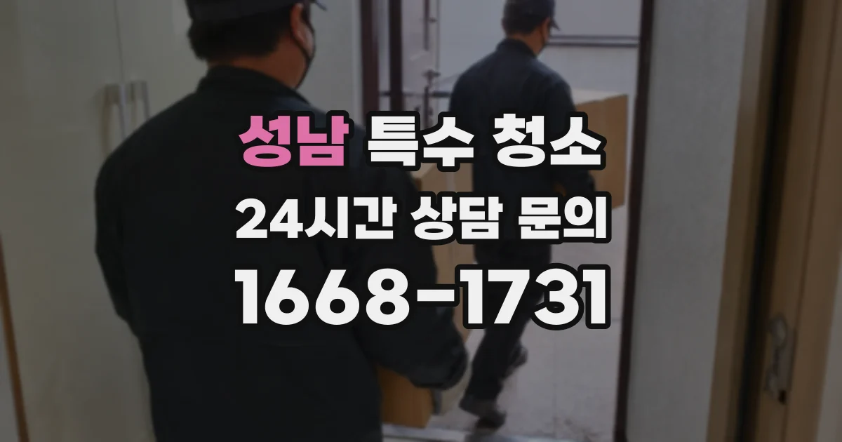 성남 특수 청소