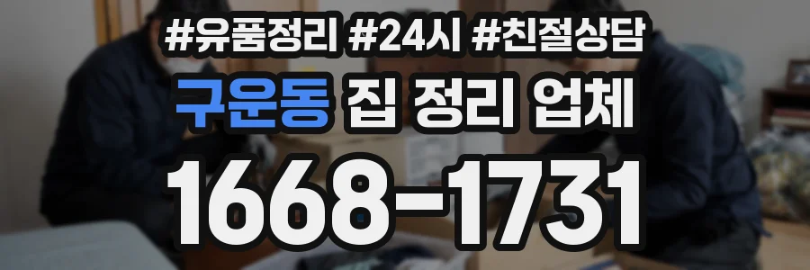 구운동 집 정리 업체