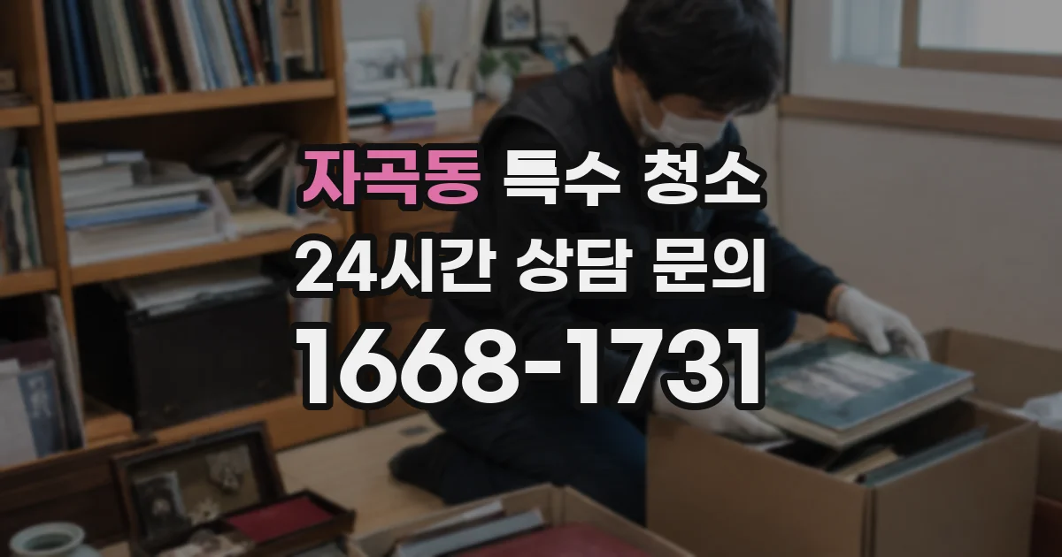 자곡동 특수 청소