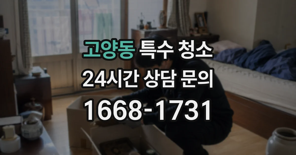 고양동 특수 청소