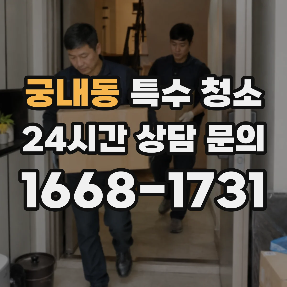 궁내동 특수 청소
