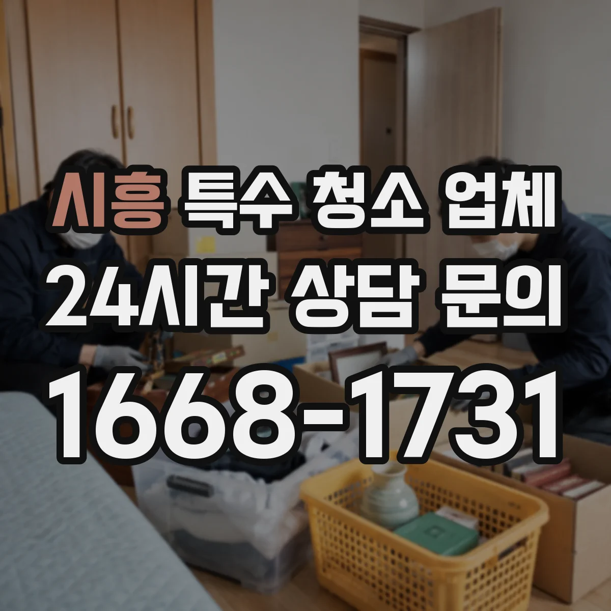 시흥 특수 청소 업체 환기·습도 개선 연계로 곰팡이 재발 감소