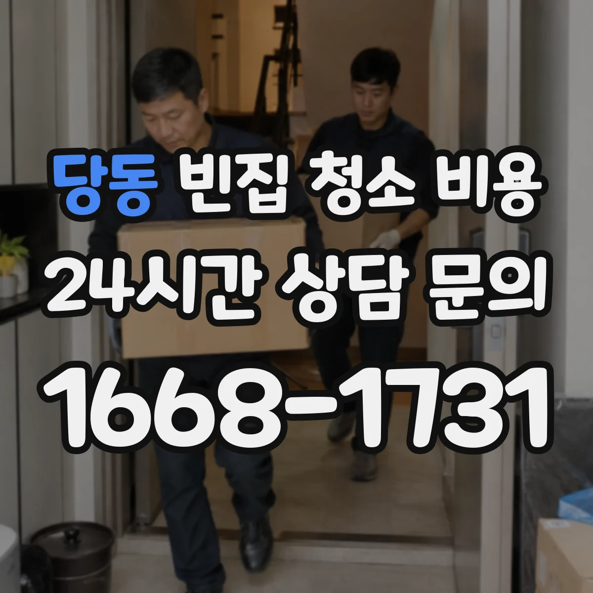 당동 빈집 청소 비용