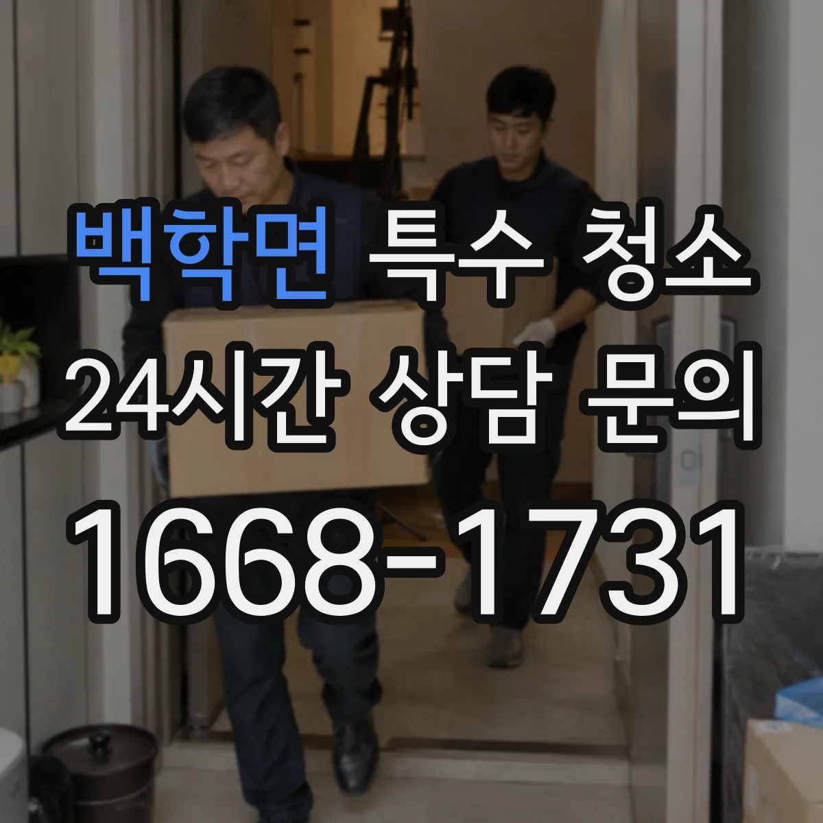 백학면 특수 청소