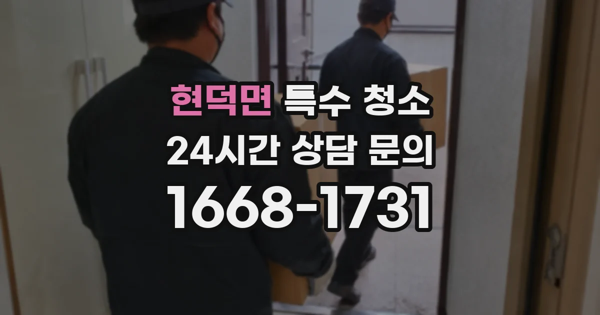 현덕면 특수 청소