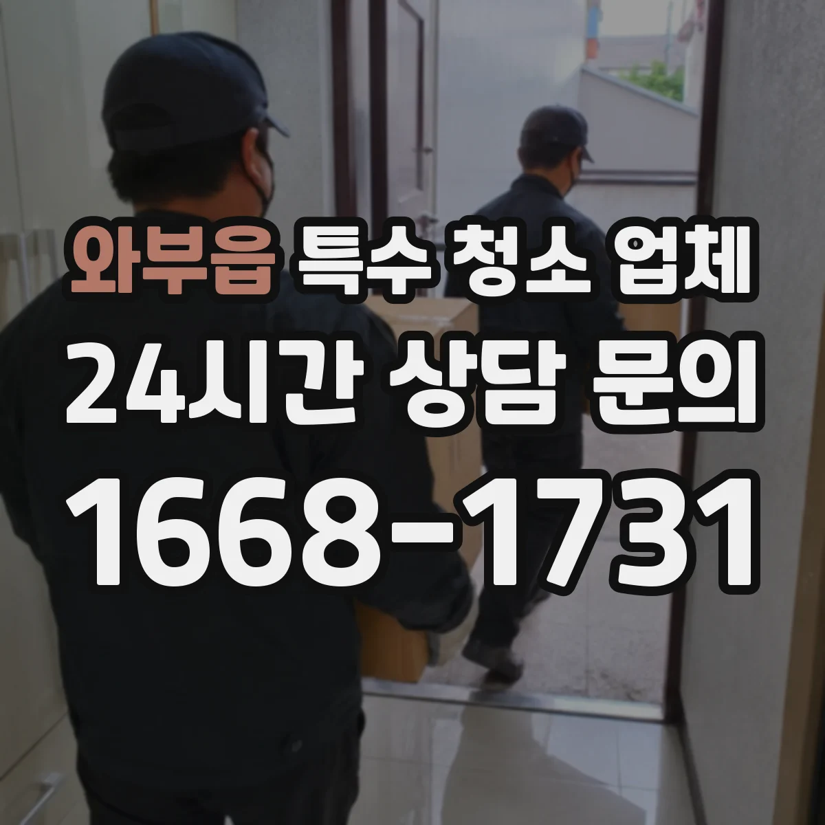 와부읍 특수 청소 업체