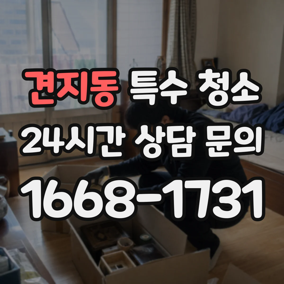 견지동 특수 청소